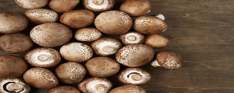 怎样腌制蘑菇一年不坏（怎样腌制蘑菇一年不坏呢）