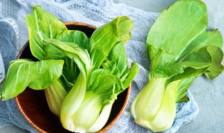 怎么保存绿叶蔬菜新鲜 绿叶蔬菜如何保鲜