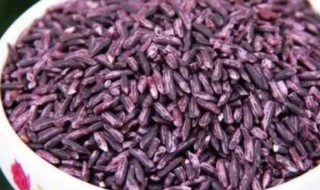 紫米和血糯米的区别，墨江紫米和血糯米的区别