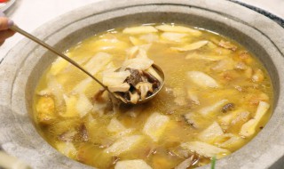 新鲜青头菌煮鸡汤怎么做 青头菌炖鸡汤的做法
