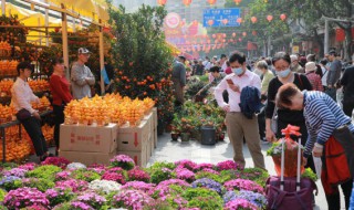 春节去摆什么摊儿（春节摆摊卖什么好）