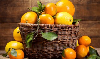 柿子能不能和橘子一起吃 柿子不可以和什么一块儿吃会中毒