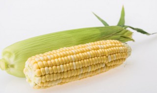 玉米如何保鲜 鲜玉米棒怎样长期保存