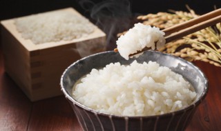 减肥不能吃米饭吗（不吃饭能减肥吗?）