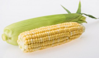 鲜玉米怎么做好吃 鲜玉米怎么做好吃又营养