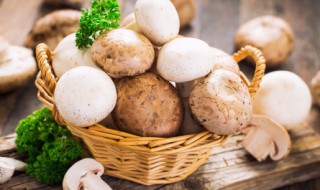 空气炸锅烤蘑菇多长时间，空气炸锅烤蘑菇多长时间多少温度