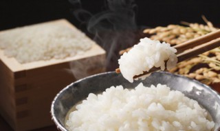 米饭需要蒸多长时间好吃（米饭需要蒸多长时间好吃呢）