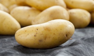 赣州种土豆的最佳时间 江西种土豆应该在几月