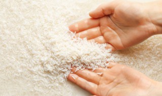 米的种类都有哪些 大米分为几种类型