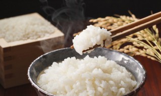炖米饭放什么好吃（炖米饭的做法）