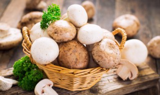 怎样判断蘑菇是否新鲜 怎么判断鲜蘑菇坏没坏