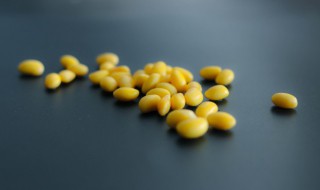 黄豆种下多久能发芽 黄豆种下去多久发芽