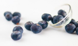 伊春蓝莓几月份成熟 伊春蓝莓什么时间上市