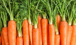 胡萝卜如何保存长久 胡萝卜保存的好办法