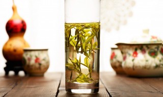 泡绿茶用什么茶具最好 绿茶的正确泡法和茶具