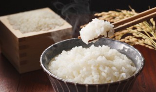 米饭蒸熟有什么作用和功效 米饭蒸熟有什么作用和功效呢