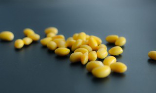 减肥期间吃黄豆会胖吗 黄豆热量高为何还减肥