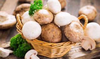 蘑菇能放冰箱保存多久 蘑菇放冰箱保存吗