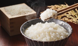 米饭需要放冰箱冷藏吗（米饭需要冷冻吗）