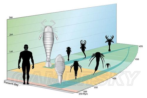 《方舟：生存进化》各类恐龙及动物图鉴资料一览 恐龙及生物列表