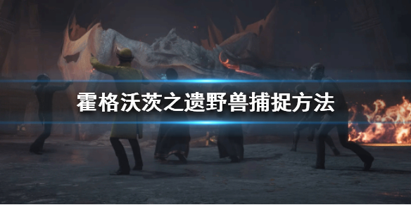 霍格沃茨之遗野兽怎么抓-霍格沃茨之遗野兽捕捉方法