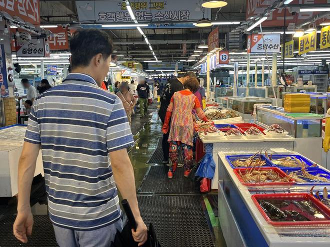 日本排污入海，韩国海鲜商贩：疫情期间生意都比现在好
