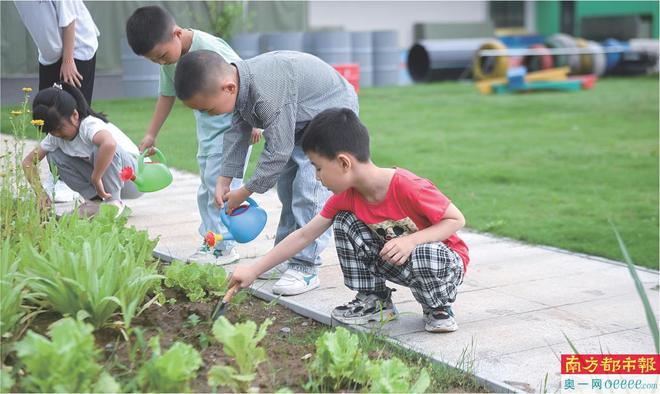 幼儿园不得教授小学内容　出售个人信息将受罚