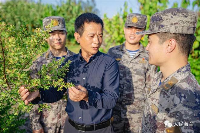 南沙永暑礁首次发现近自然盐沼