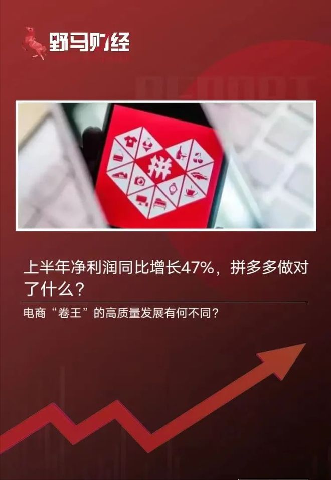 上半年净利润同比增长47%，拼多多做对了什么？