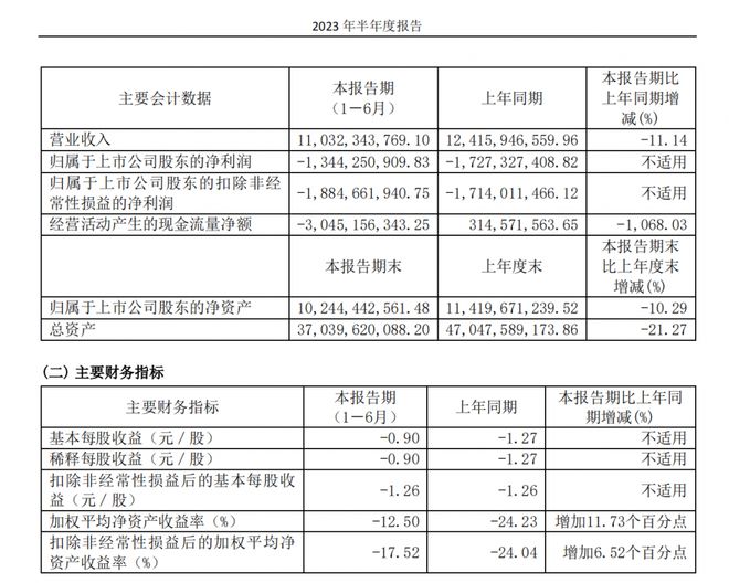 财报里的中国经济丨赛力斯半年报出炉：营收超110亿元，净亏损收窄