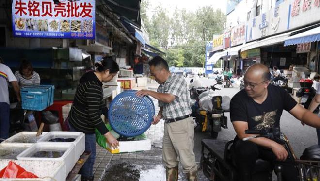 日本核废水排海，近期上海进口海鲜供应如何？