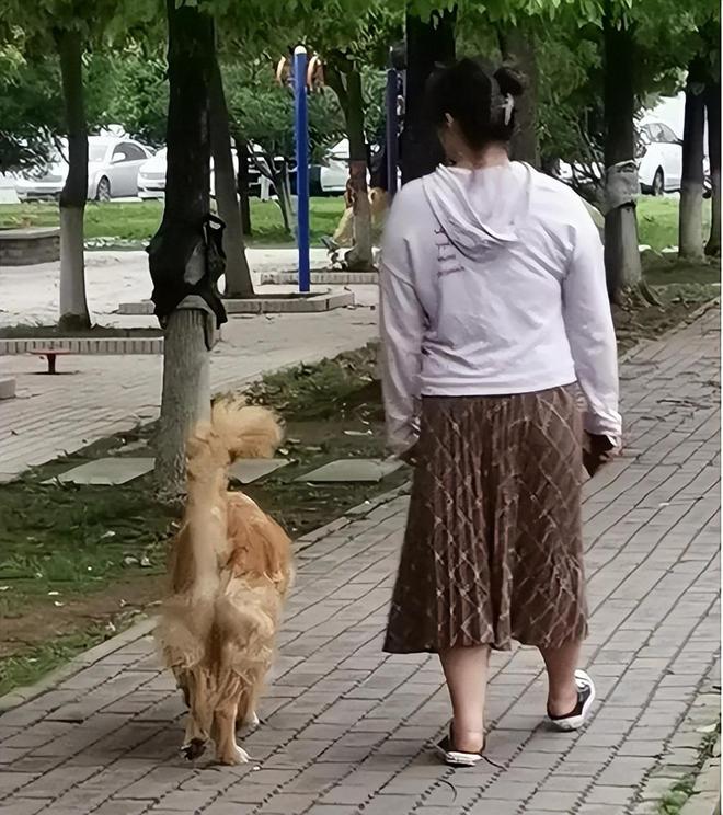 讨好型家长的恶果：担心邻居认为自己讹人，导致娃未及时就医而亡