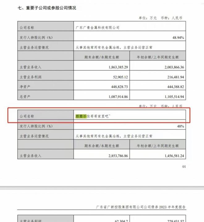 广新集团报告将子公司名写为“住哥哥家里”！回应系中介录错