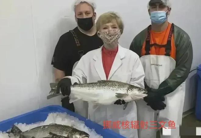 核辐射三文鱼进口到中国！国内海关成功查获一批带核辐射的三文鱼