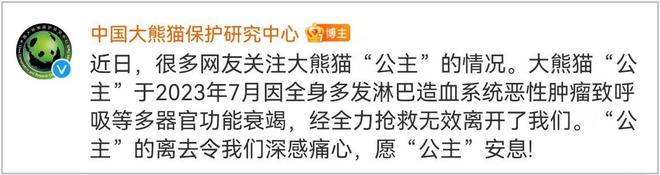 中国大熊猫保护研究中心：“公主”“融融”已去世