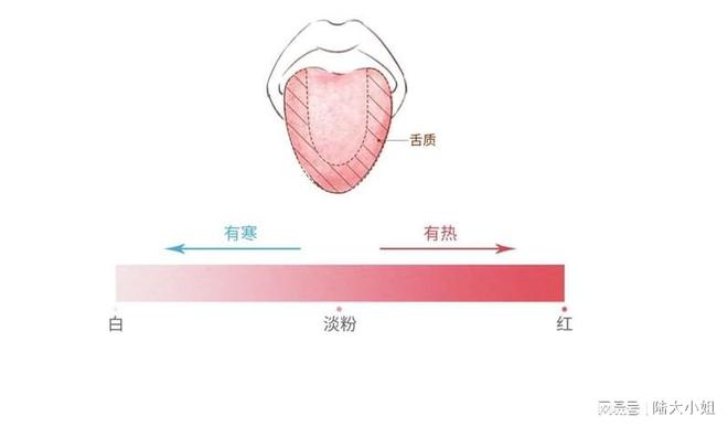 如何判断孩子是否有湿气