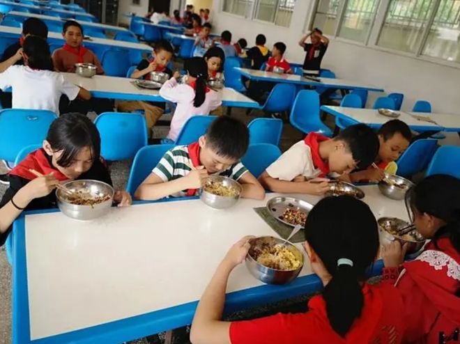 “预制菜进校园”引担忧，有家长辞职给孩子送饭，网友：至于吗