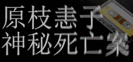 《原枝恚子神秘死亡案》上架steam VHS沉浸式恐怖