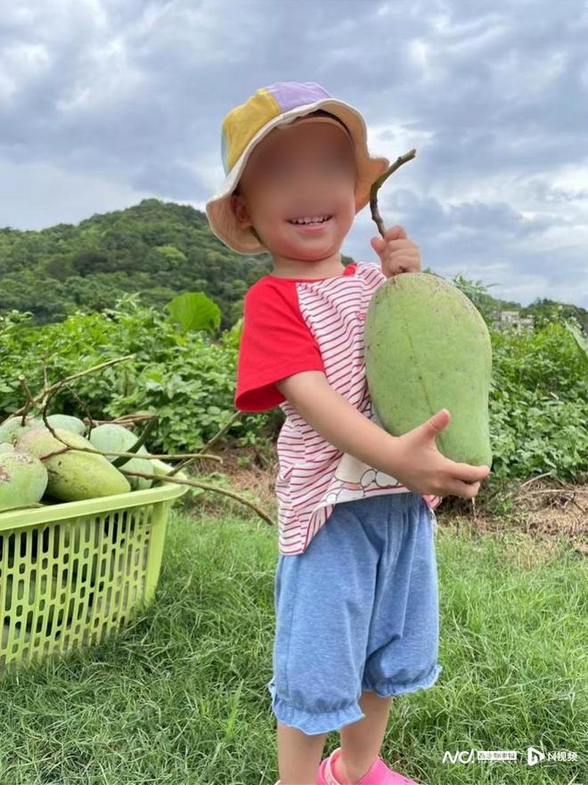 两岁癫痫患儿一天发作几十次 医生植入电极精准“缉拿”元凶