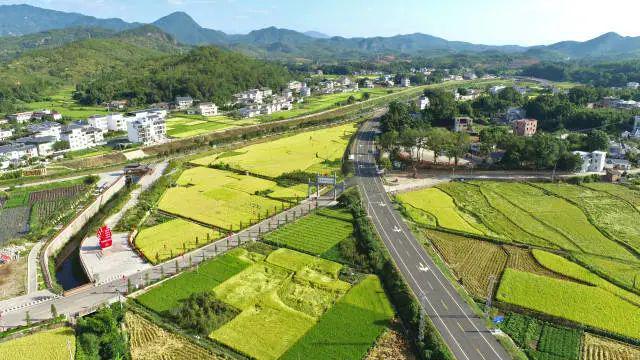 平远县人民政府征收仁居村土地公告