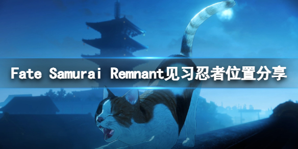 Fate Samurai Remnant见习忍者位置分享-见习忍者在哪