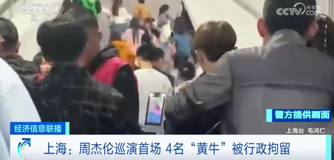 周杰伦上海巡演首场，4名“黄牛”被行拘：强行推人过闸机、谎称六千元进内场