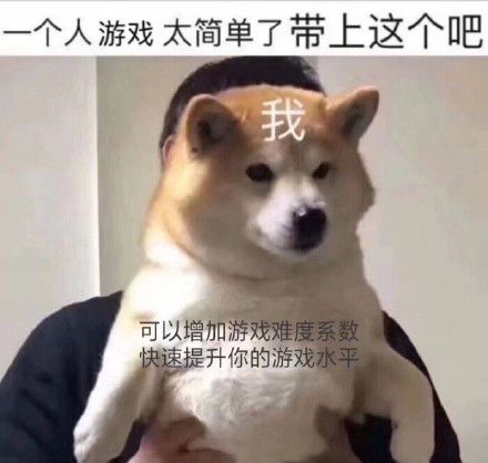 起猛了！一只会打游戏的柴犬，要参加游戏速通大赛募捐