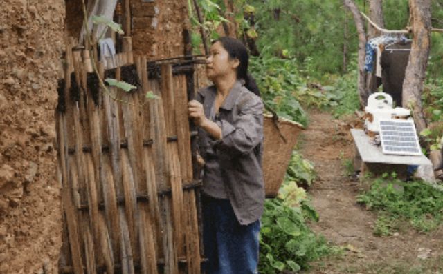 海归女白领隐居深山，一次失败的原始社会实验