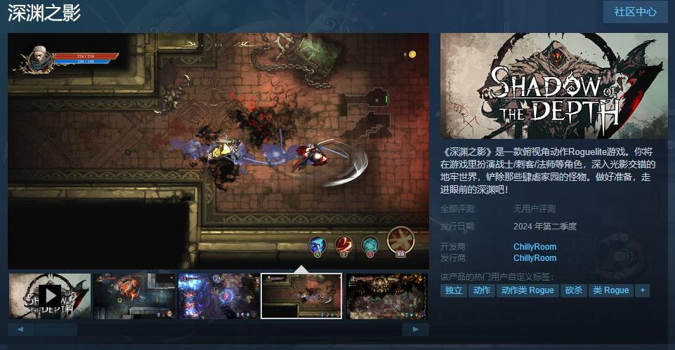 肉鸽游戏《深渊之影》Steam页面上线 支持简体中文