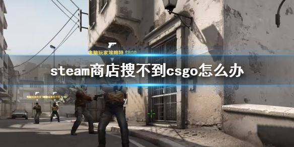 steam商店搜不到csgo怎么办-steam商店搜不到csgo介绍